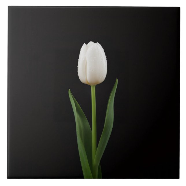 Schwarze Luxusfliese 4 mit Perlenweißer Tulpe Fliese (Vorderseite)