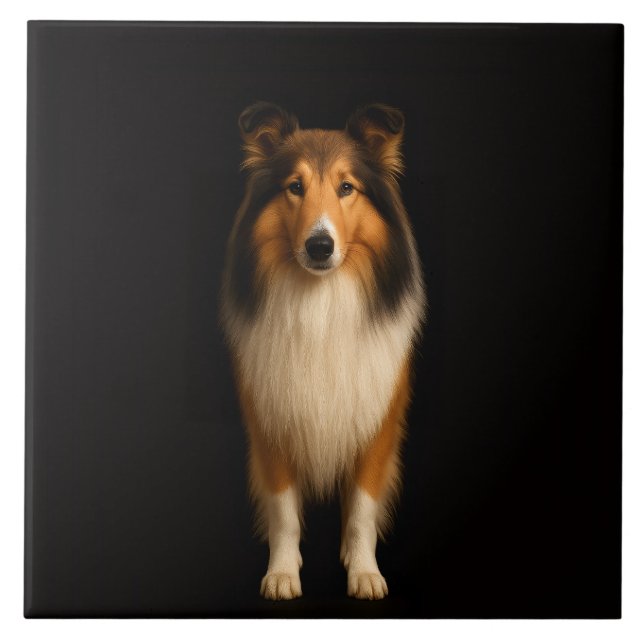 Schwarze Luxusfliese 4 mit treuem Collie-Hund Fliese (Vorderseite)