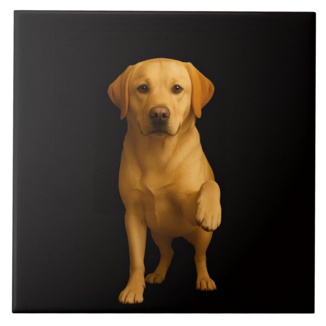 Schwarze Luxusfliese mit zartem Labrador Fliese (Vorderseite)