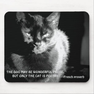 Schwarze Maine Coon Katze mit französischem Sprich Mousepad
