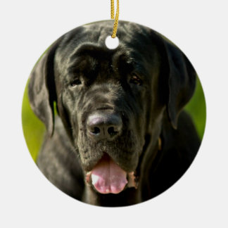 Schwarze Mastiff-Verzierung Keramik Ornament