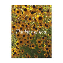 Schwarze Mit Augen Susan-Blume Denken Sie an Postk