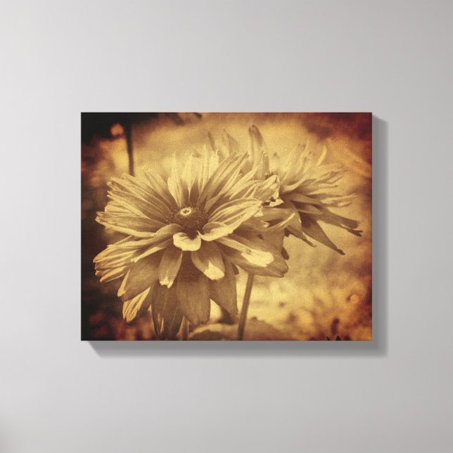 Schwarze Mit Augen Susan Blume Sepia Vintag Leinwanddruck (Vorderseite)