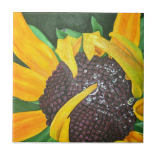 Schwarze mit Augen Susan Fliese