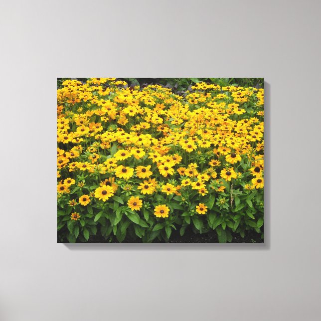 Schwarze Mit Augen Susans Leinwanddruck (Vorderseite)