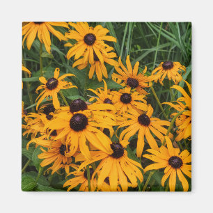 Schwarze Mit Augen Susans Magnet