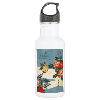 Schwarze-naped Oriole- und China-Rose (durch Trinkflasche