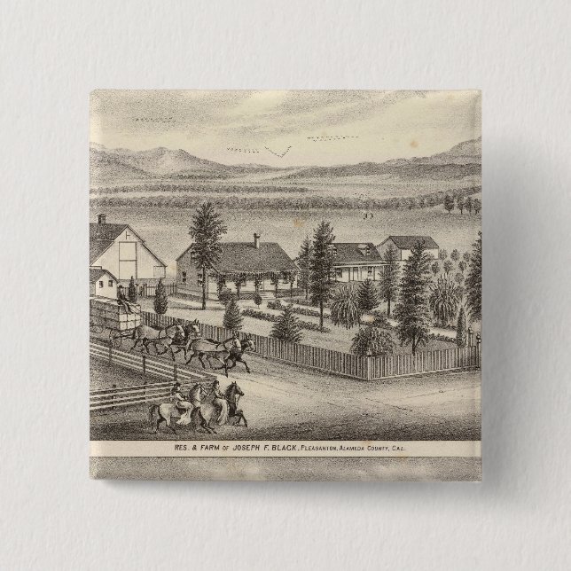 Schwarze, Nealresidenzen, Grundstücke Button (Vorderseite)