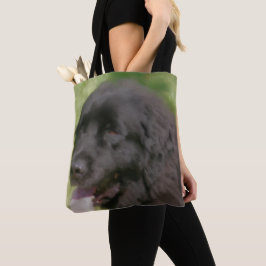 Schwarze Neufundland-Hundekunst