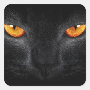 Schwarze Pantheraugen Quadratischer Aufkleber