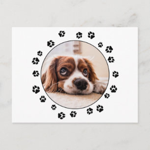 Schwarze Pawprints von Puppy-Foto Postkarte
