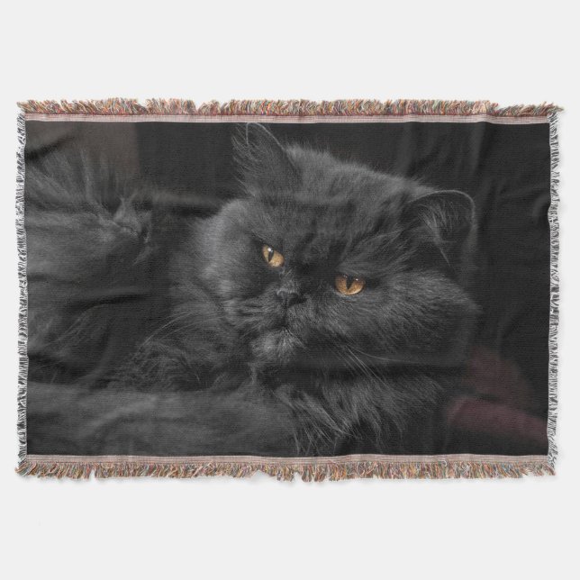 Schwarze Perserkatze Decke (Vorderseite)