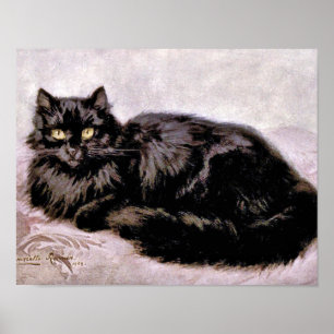 Schwarze Perserkatze Poster