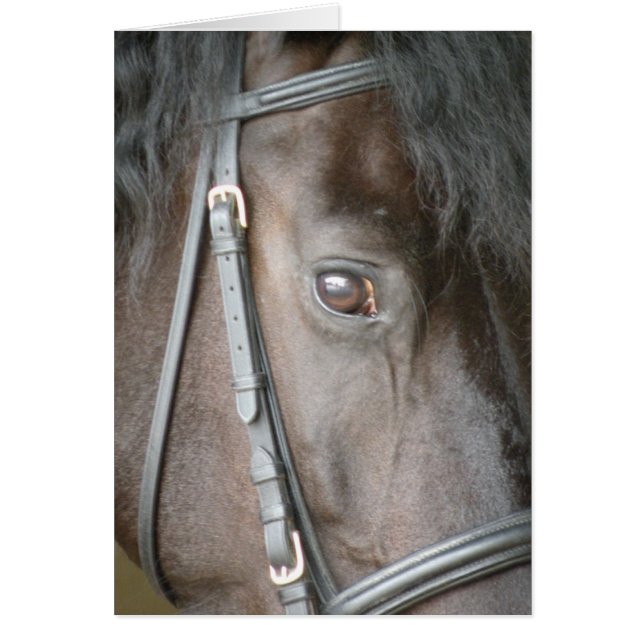 Schwarze Pferdekarte (Vorne)