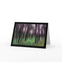 Schwarze Pines in einem grünen Holz