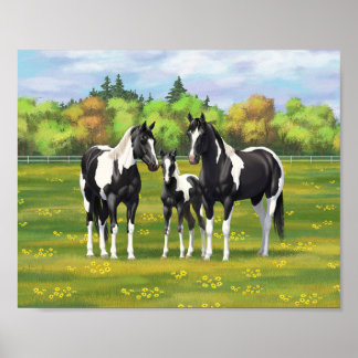 Schwarze Pinto Paint Quarter Horses auf der Sommer Poster