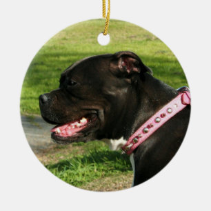 Schwarze pitbull Verzierung Keramik Ornament