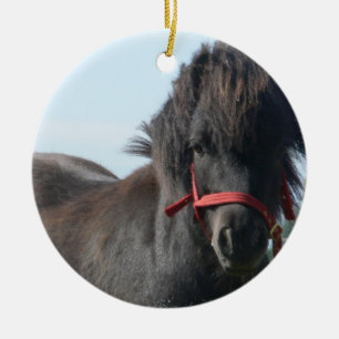 Schwarze Pony-Verzierung Keramik Ornament