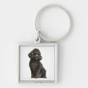 Schwarze Pudel-Mutter-Welpen-Hund-Vater-Fell-Mama- Schlüsselanhänger