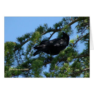 Schwarze Reihe (1a) - Anpassbar