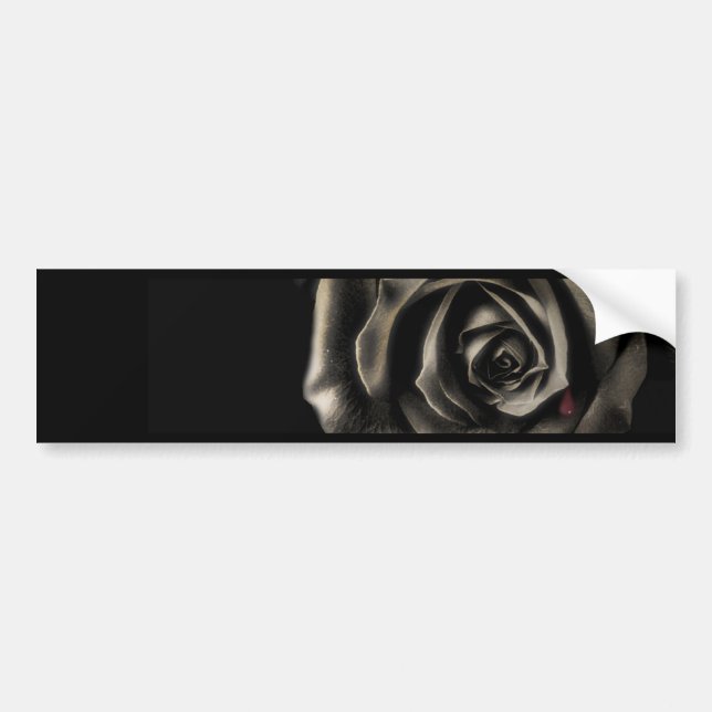 Schwarze Rose Autoaufkleber (Vorne)