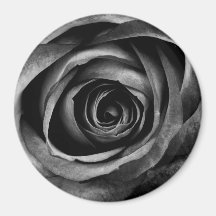 Schwarze Rose Blume Blumendekoration Vintag
