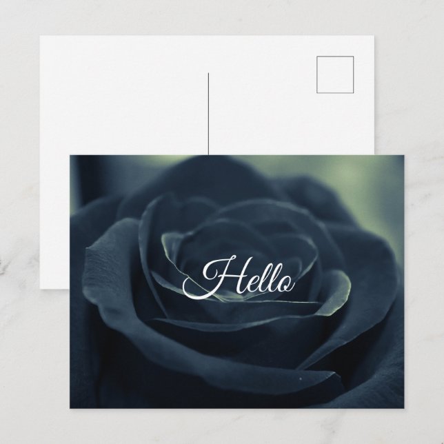 Schwarze Rose Blume Dark Gothic Vibe Hallo Postkarte (Vorne/Hinten)