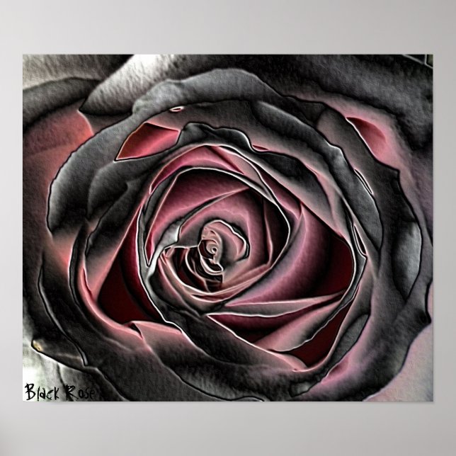 Schwarze Rose Canvas Print Poster (Vorne)