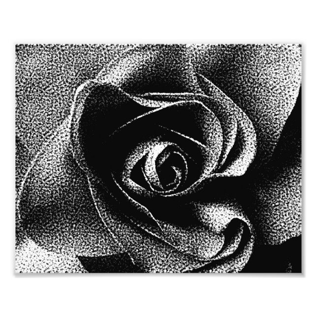 SCHWARZE ROSE FOTODRUCK (Vorne)