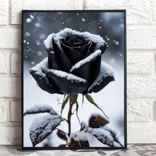 Schwarze Rose im Schnee - Moody Winter Bloral Art  Poster (Von Creator hochgeladen)