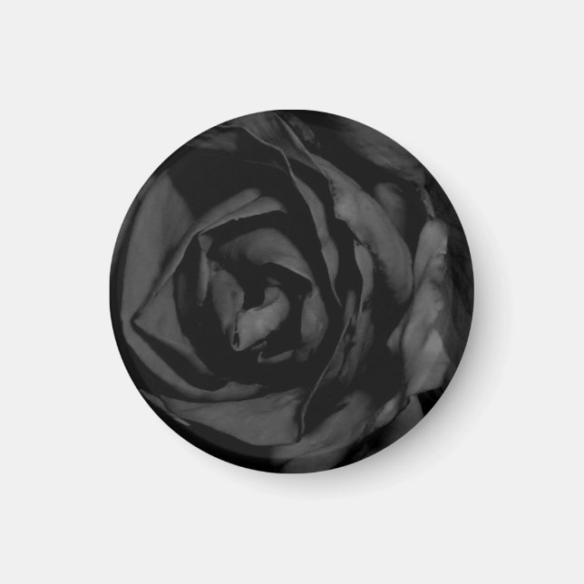 Schwarze Rose Magnet (Vorne)