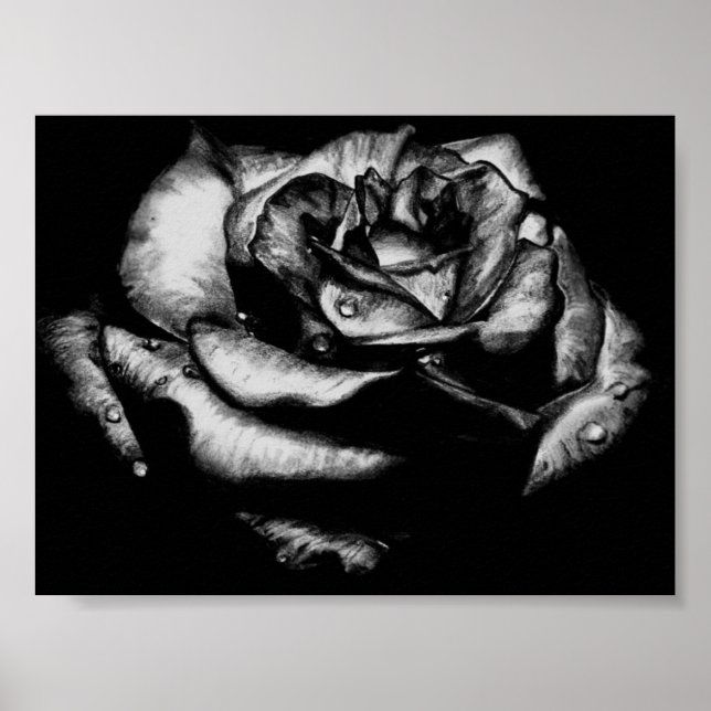 Schwarze Rose Poster (Vorne)