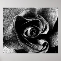 SCHWARZE ROSE