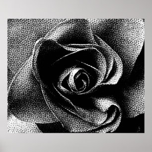 SCHWARZE ROSE POSTER