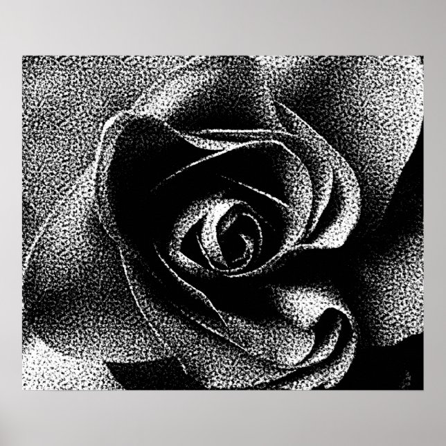 SCHWARZE ROSE POSTER (Vorne)