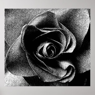 SCHWARZE ROSE POSTER