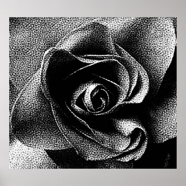 SCHWARZE ROSE POSTER (Vorne)
