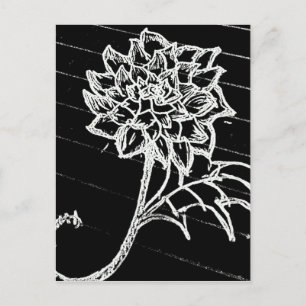 Schwarze Rose Postkarte