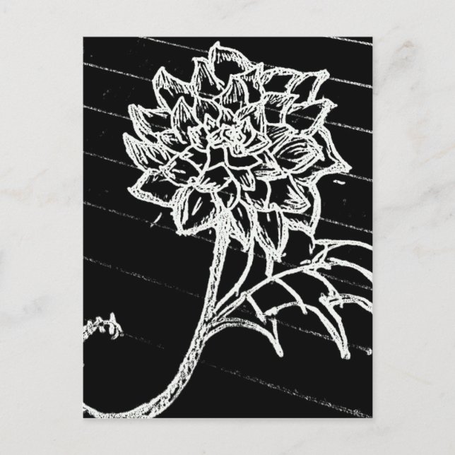 Schwarze Rose Postkarte (Vorderseite)
