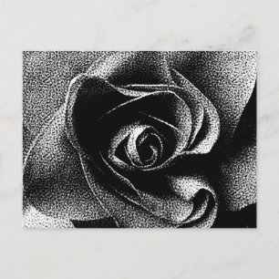 SCHWARZE ROSE POSTKARTE