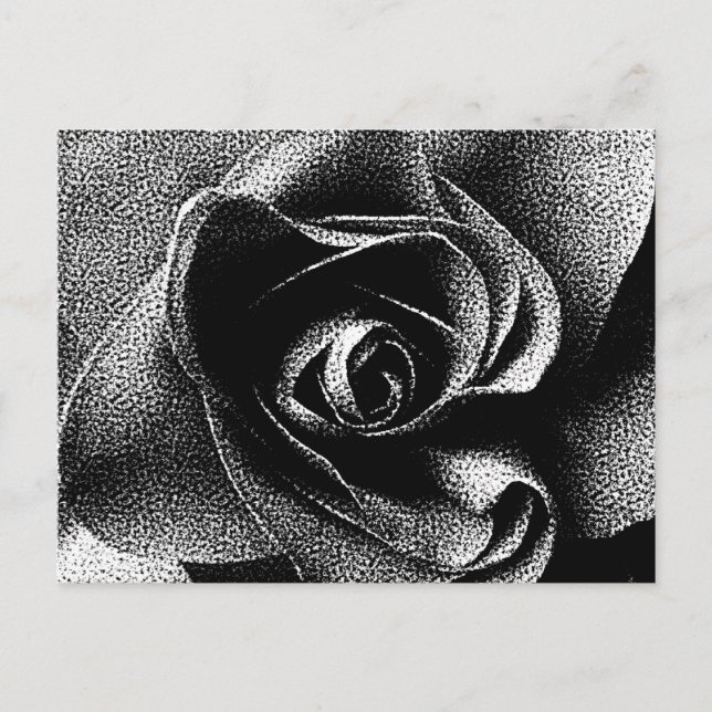 SCHWARZE ROSE POSTKARTE (Vorderseite)