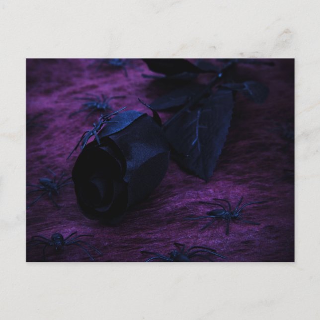 Schwarze Rose Postkarte (Vorderseite)