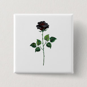 Schwarze Rosenblüte Button