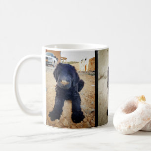 Schwarze russische Terrier-Tasse Tasse