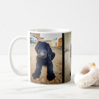 Schwarze russische Terrier-Tasse Tasse