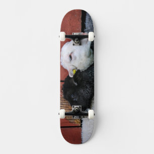 Schwarze Schaf-weiße Schaf-Skateboard Skateboard