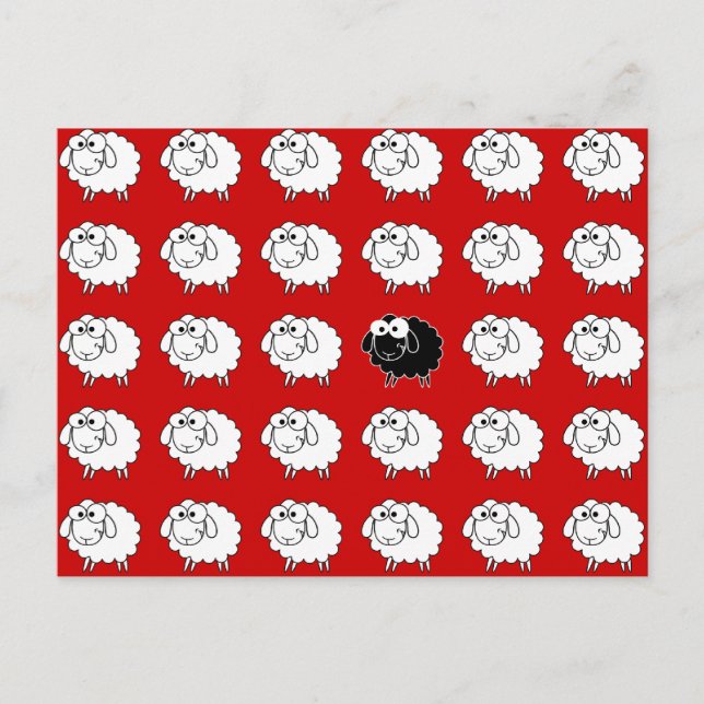 Schwarze Schafe Postkarte (Vorderseite)