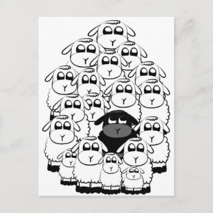 Schwarze Schafe Postkarte