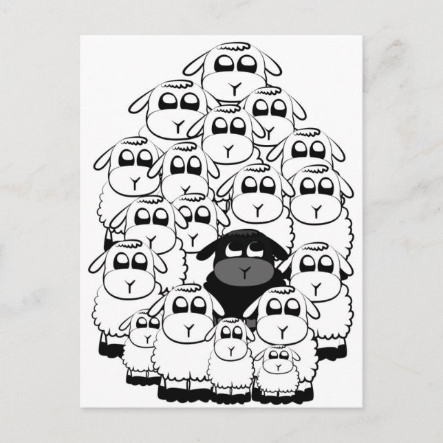 Schwarze Schafe Postkarte (Vorderseite)