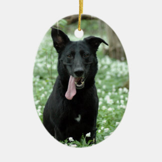 Schwarze Schäfer-Verzierung Keramik Ornament